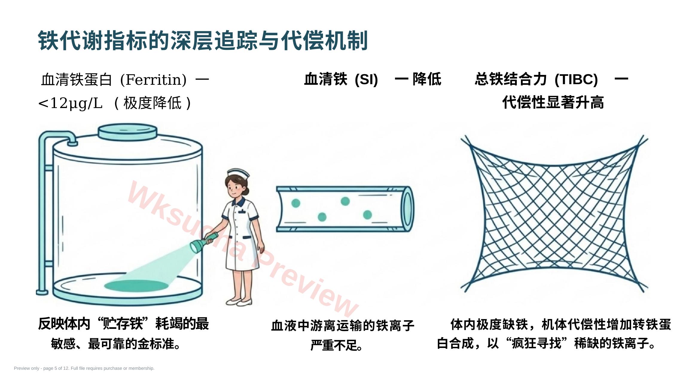 预览第 5 页