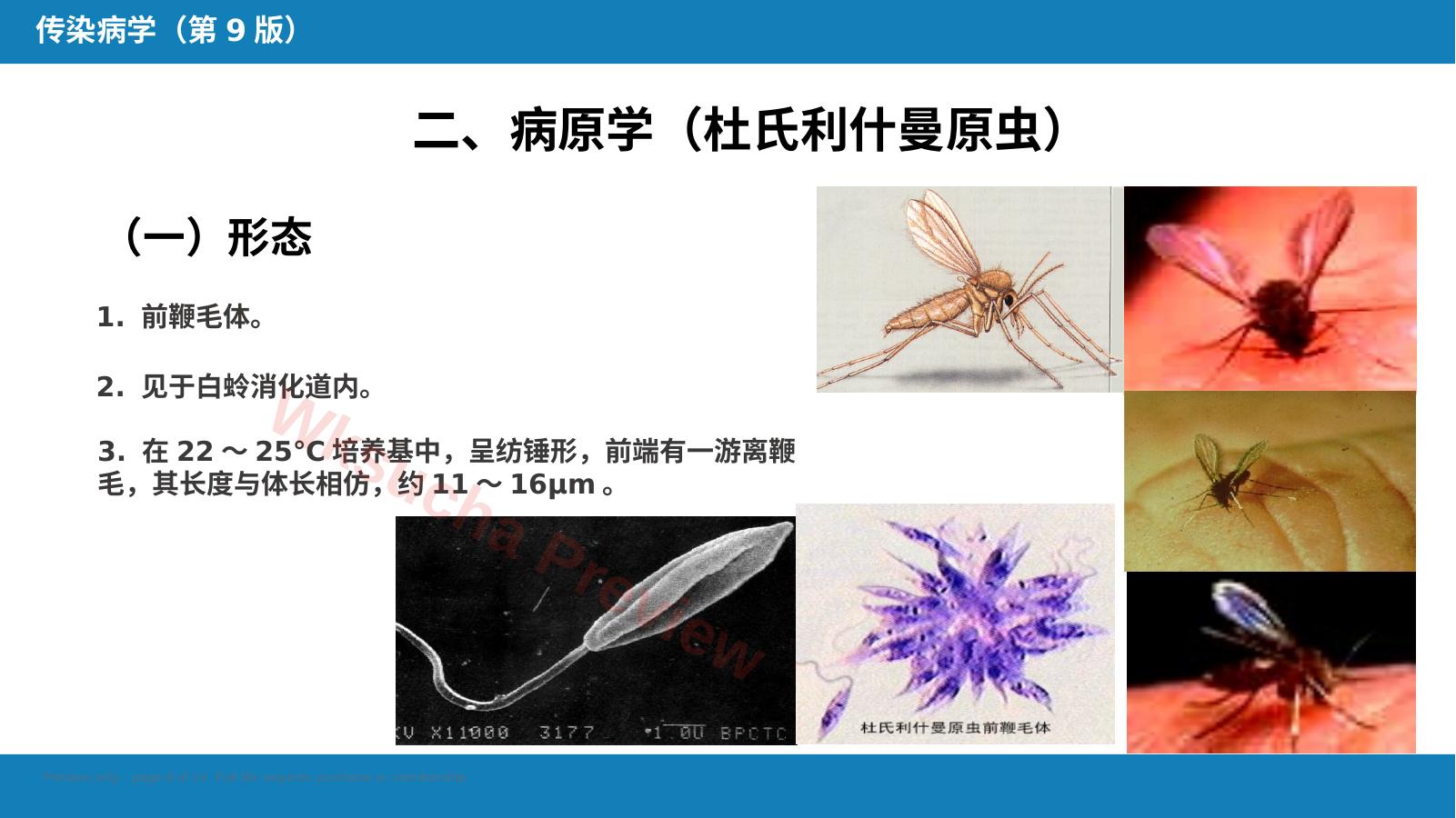 预览第 8 页