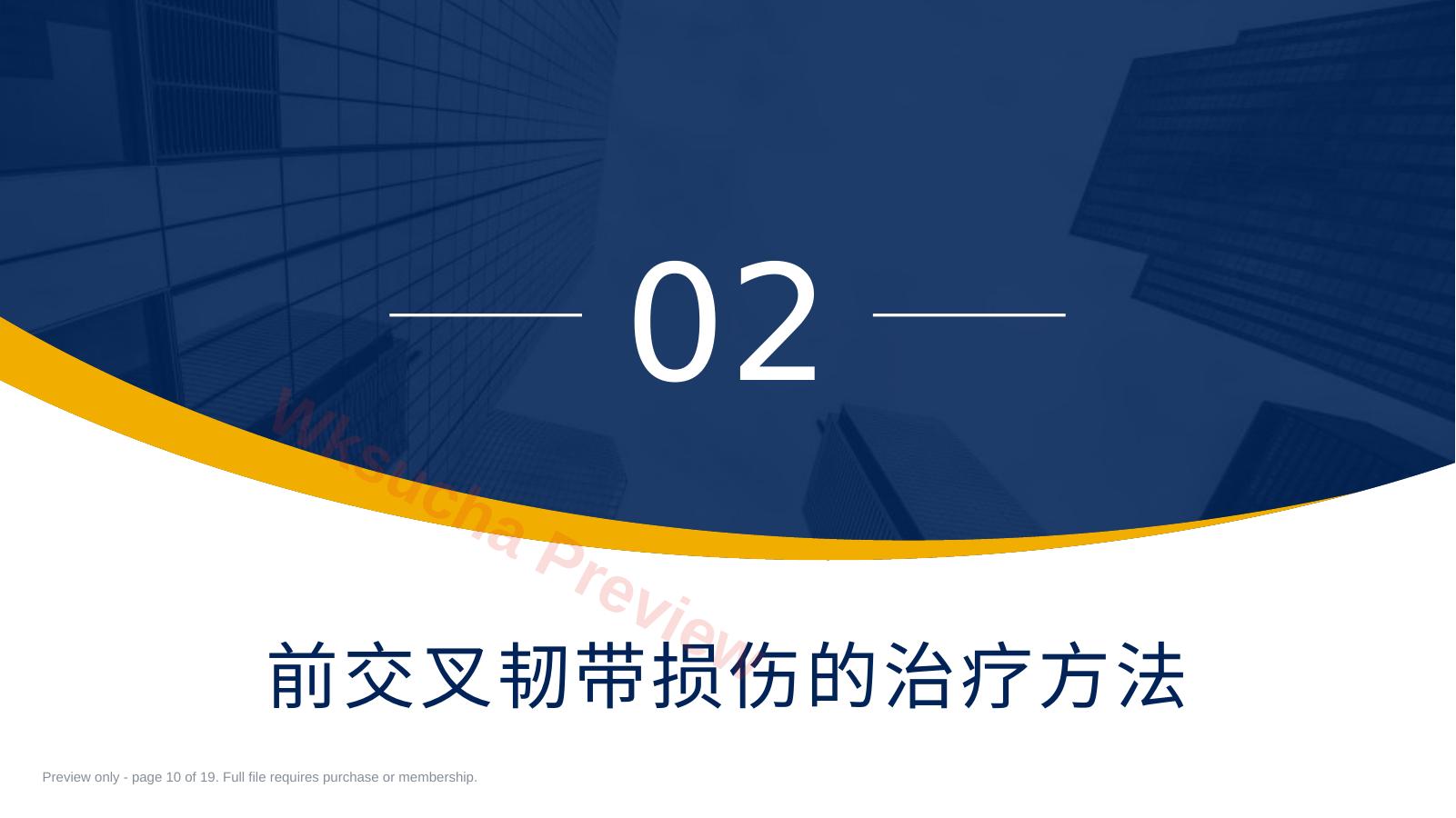 预览第 10 页