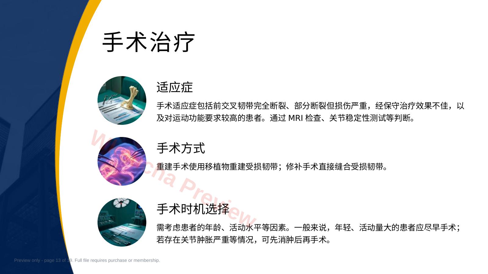 预览第 13 页