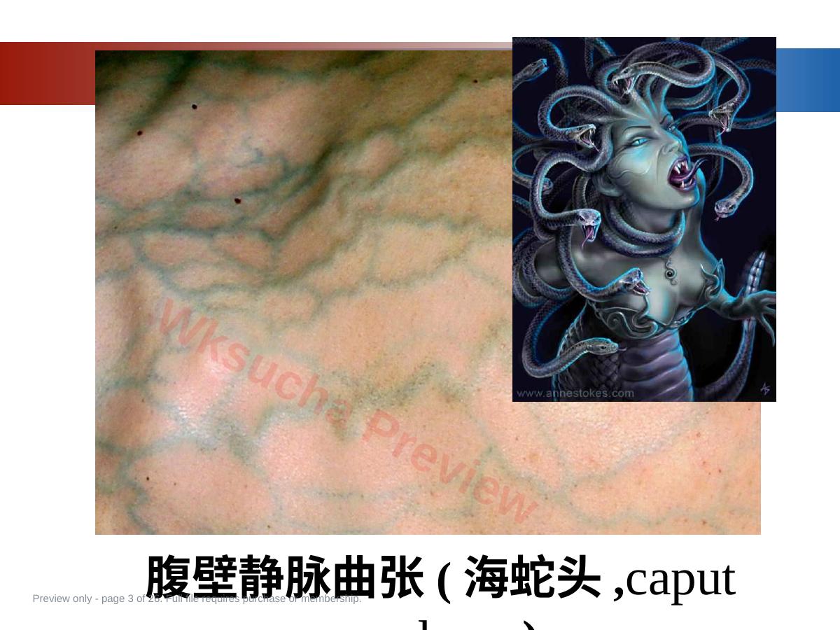预览第 3 页