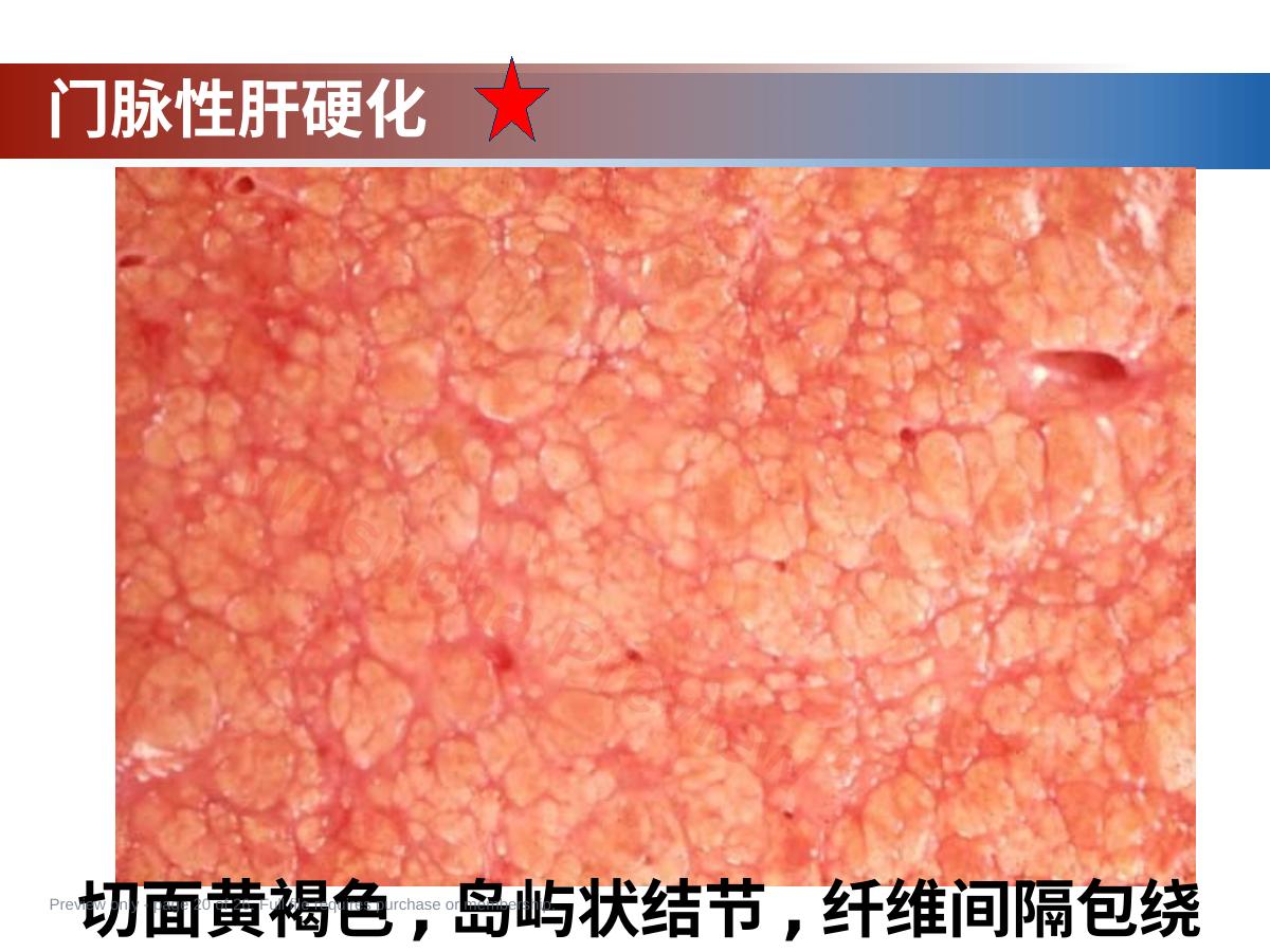 预览第 20 页