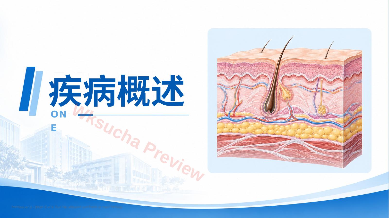 预览第 3 页