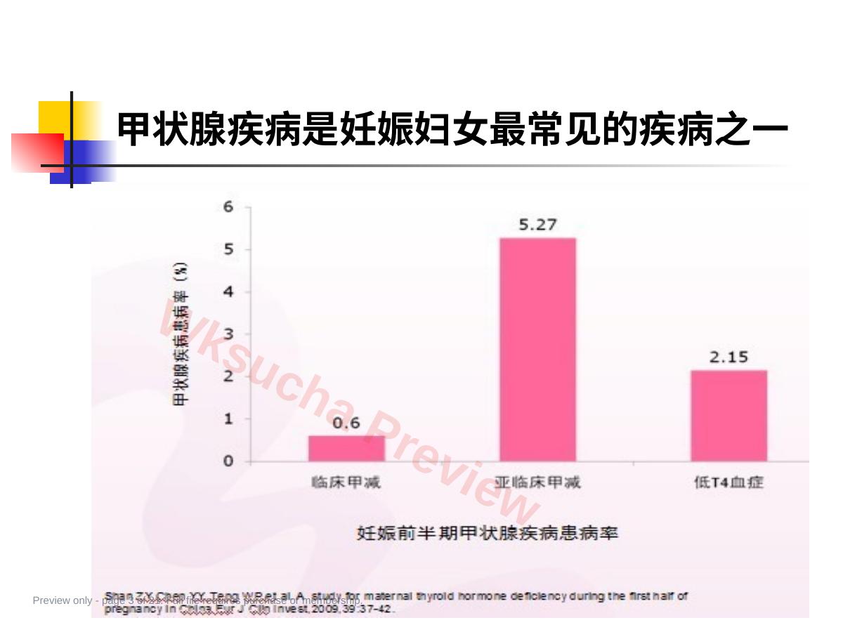 预览第 3 页