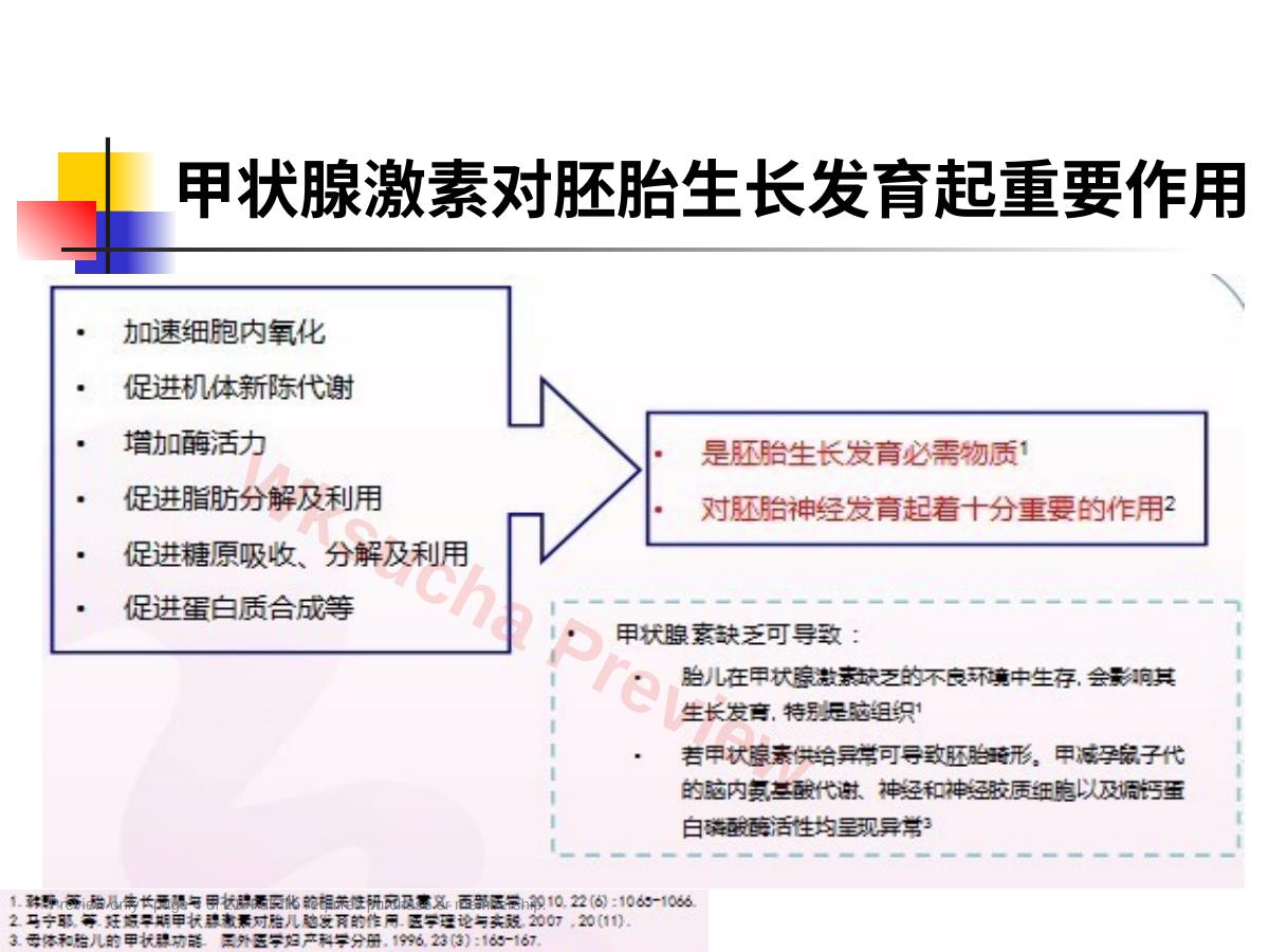 预览第 4 页
