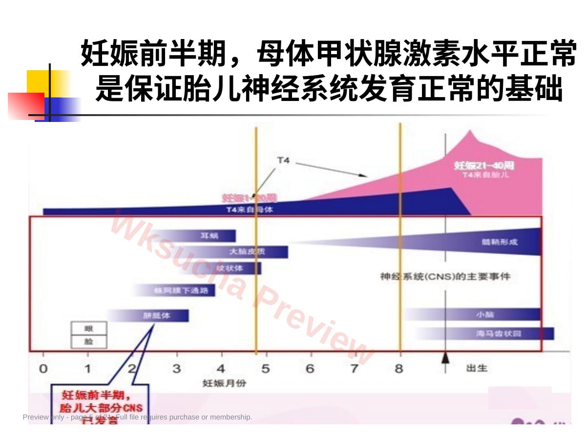 预览第 5 页