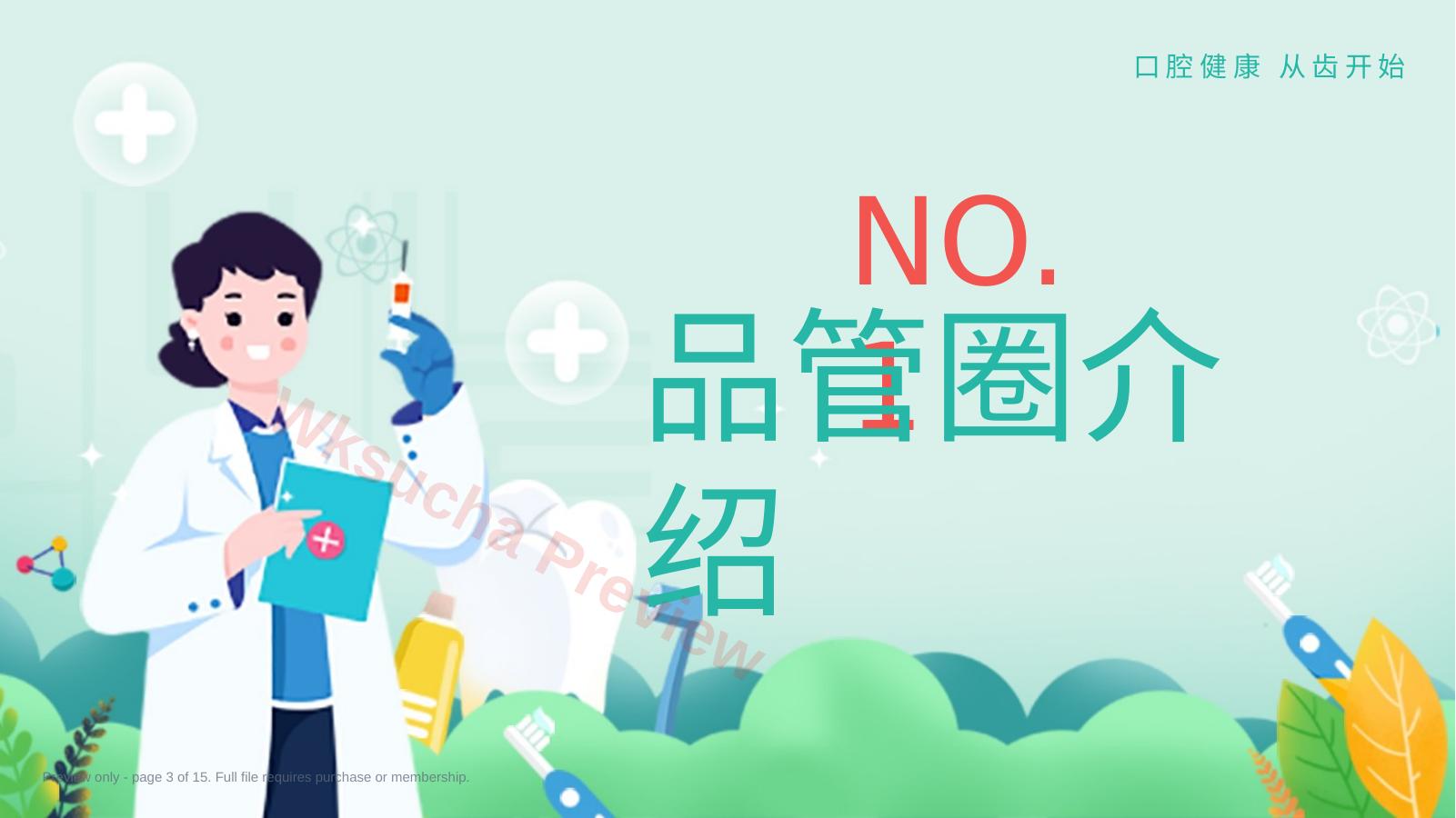 预览第 3 页