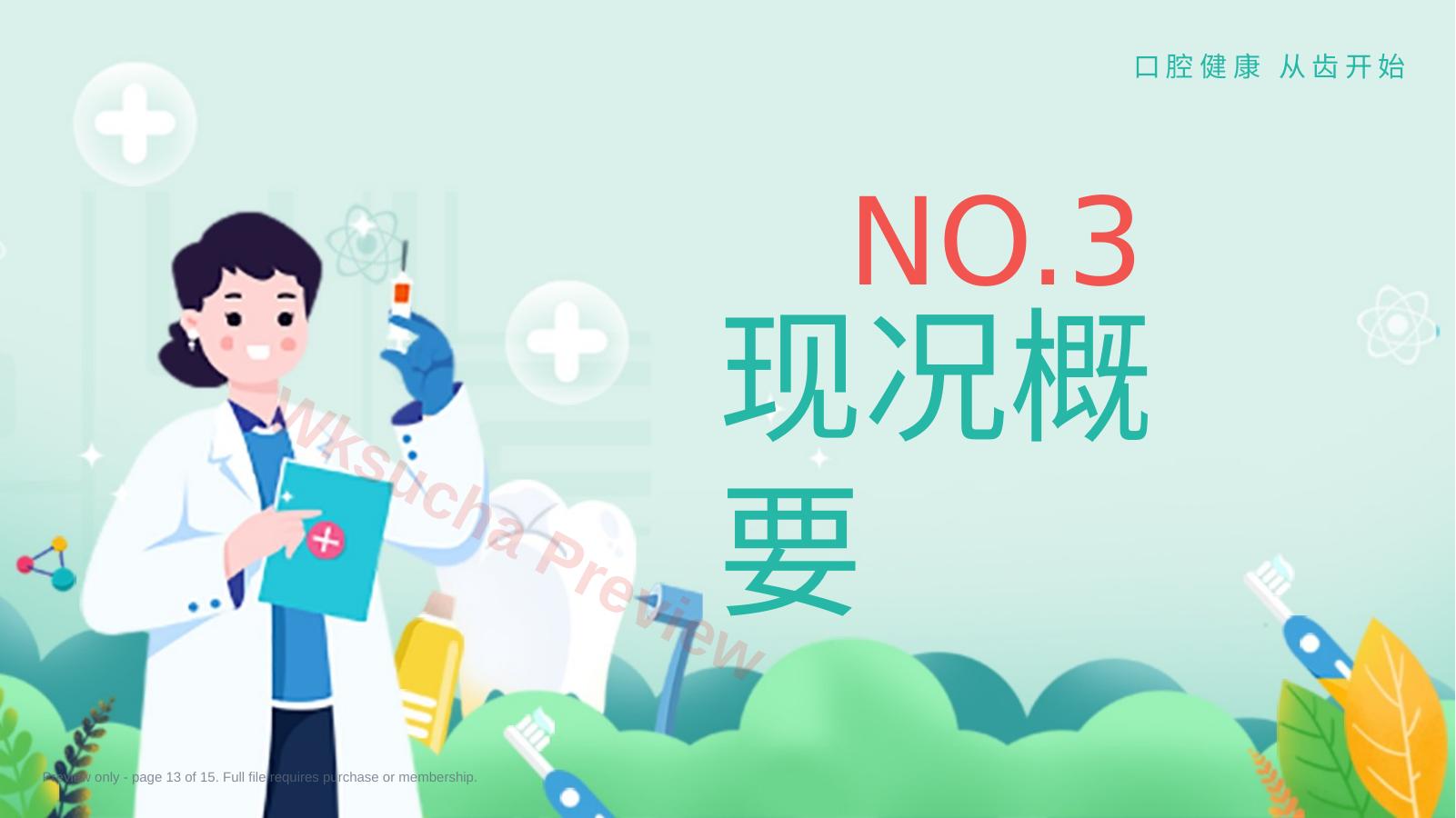 预览第 13 页