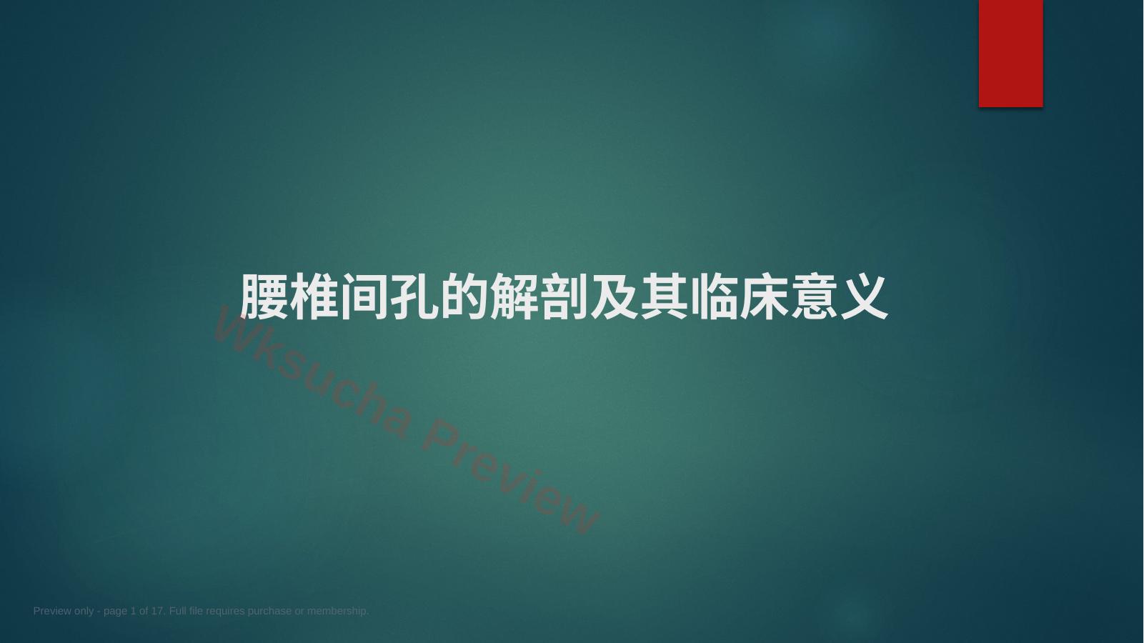 椎间孔的解剖 (1)