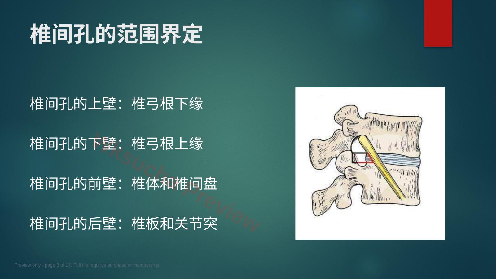 预览第 3 页