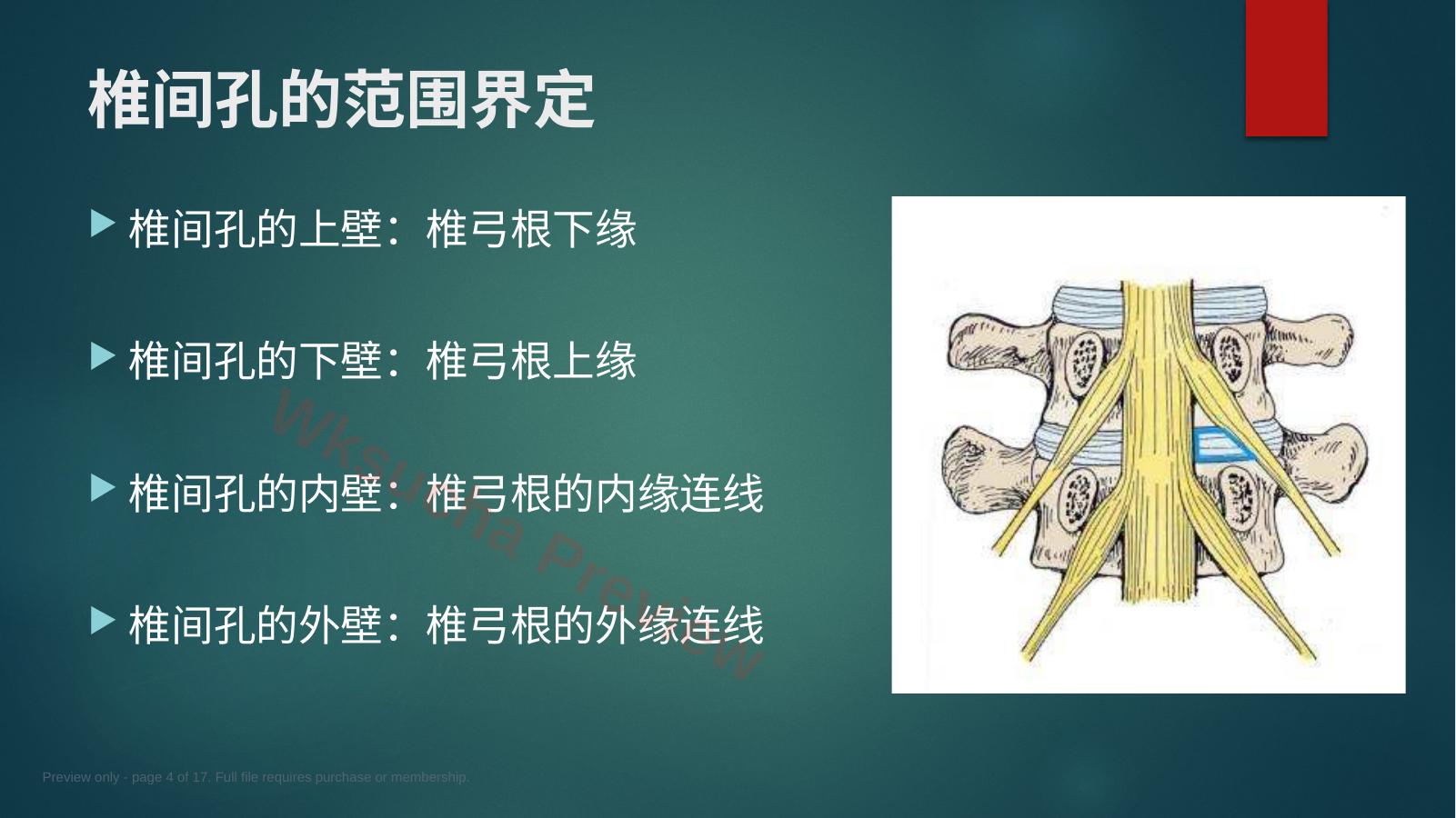 预览第 4 页