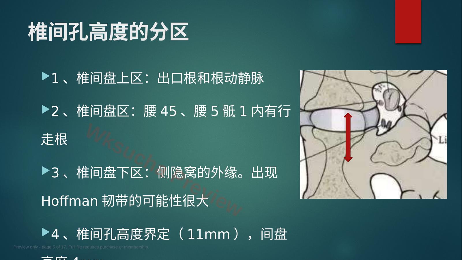 预览第 5 页