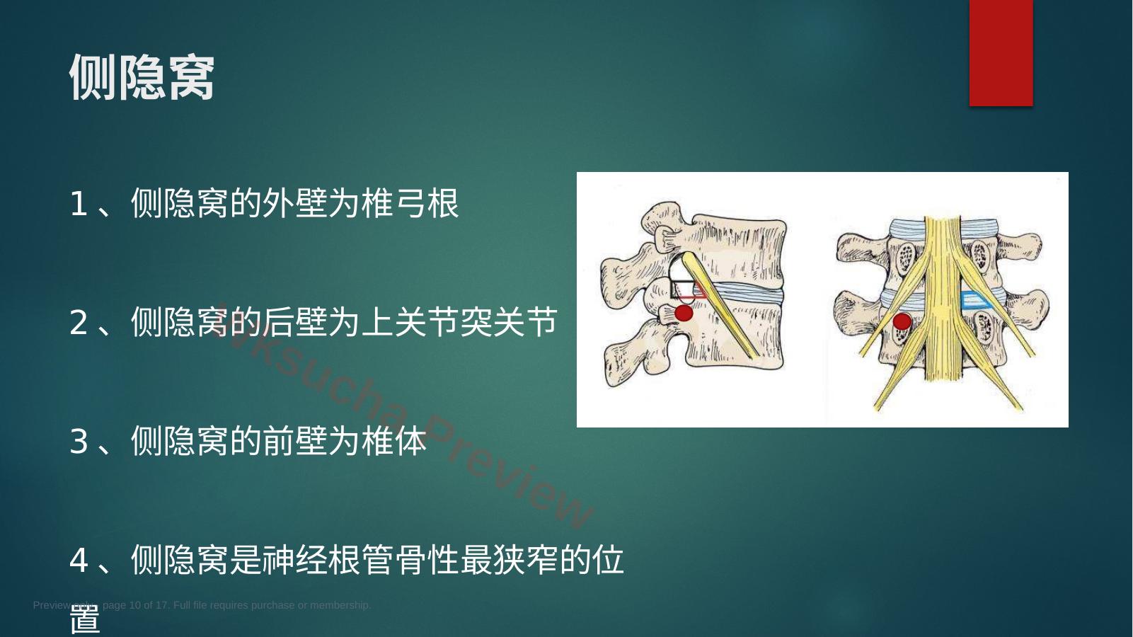 预览第 10 页