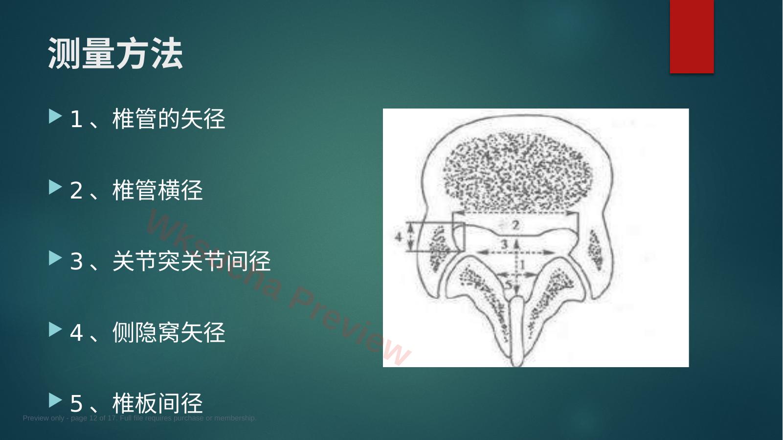 预览第 12 页