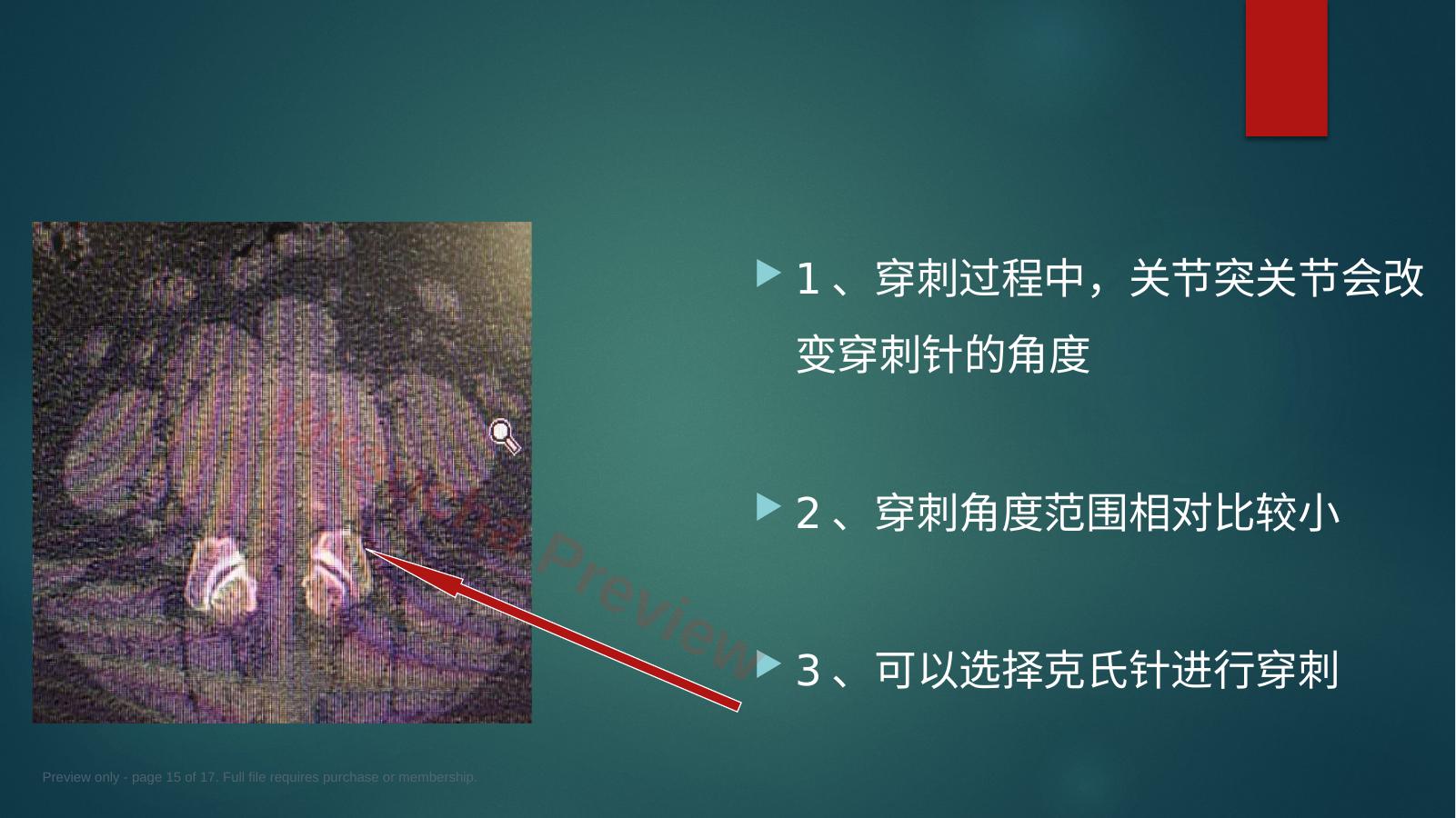 预览第 15 页
