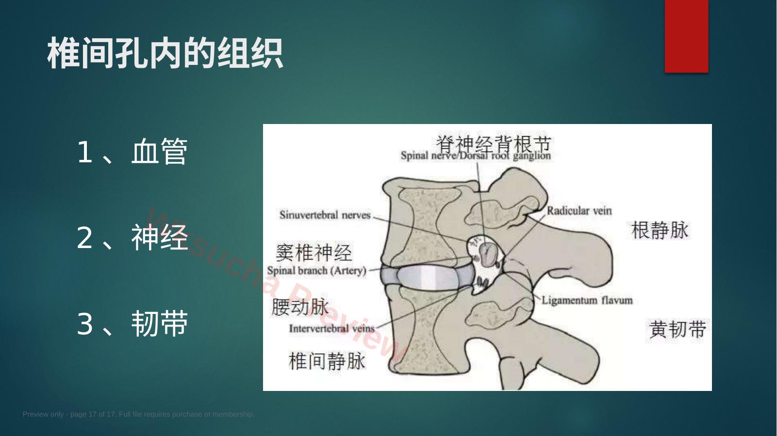 预览第 17 页