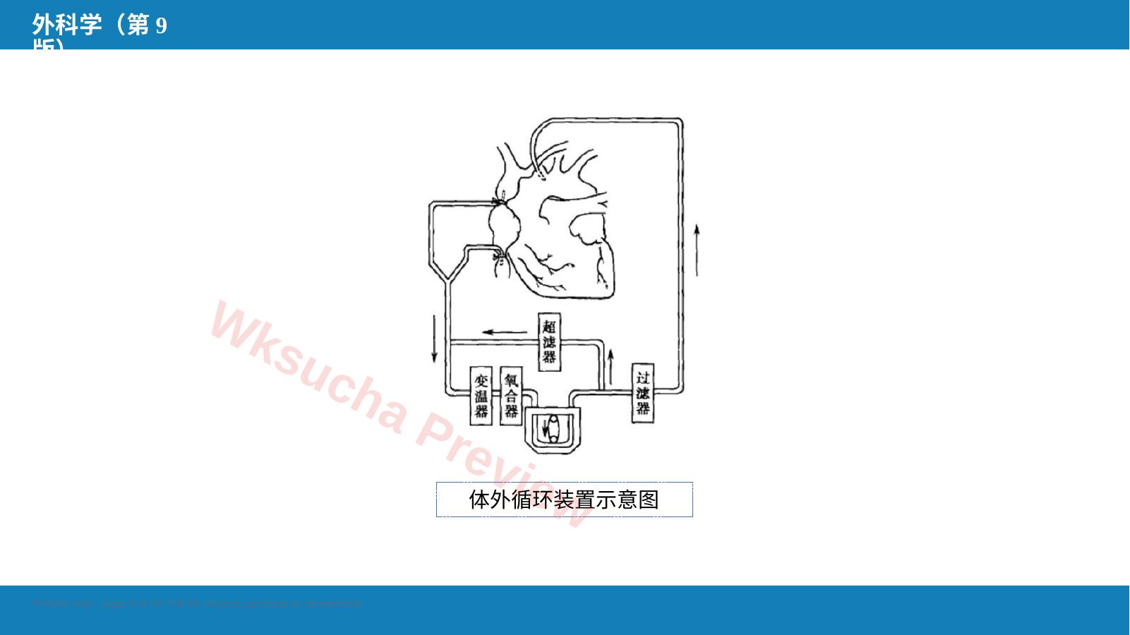 预览第 8 页