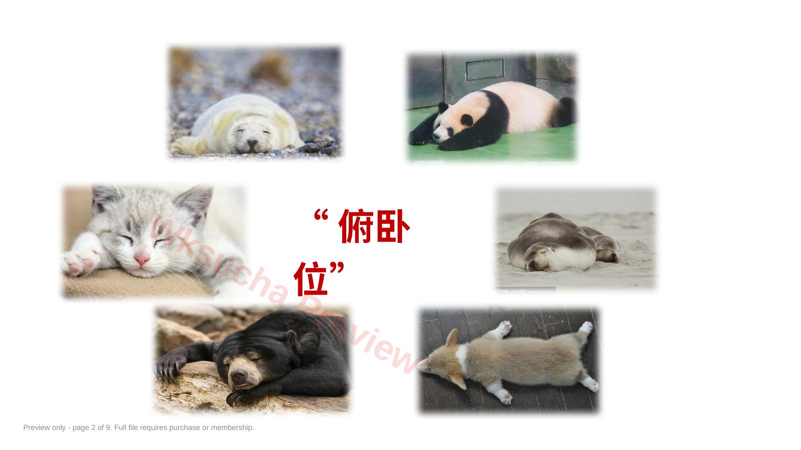 预览第 2 页