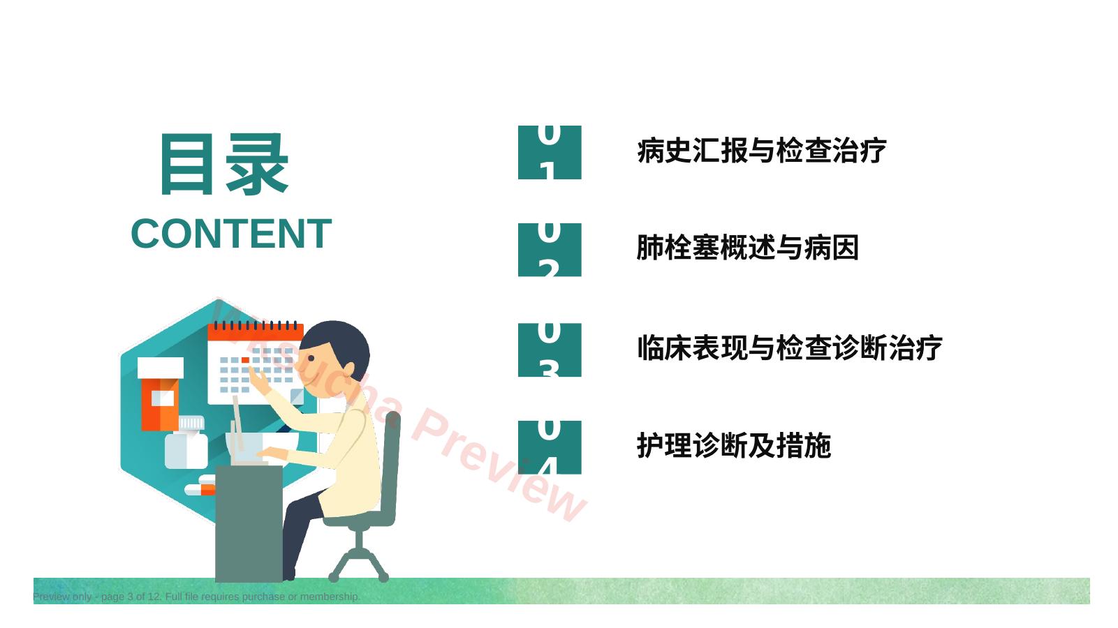 预览第 3 页
