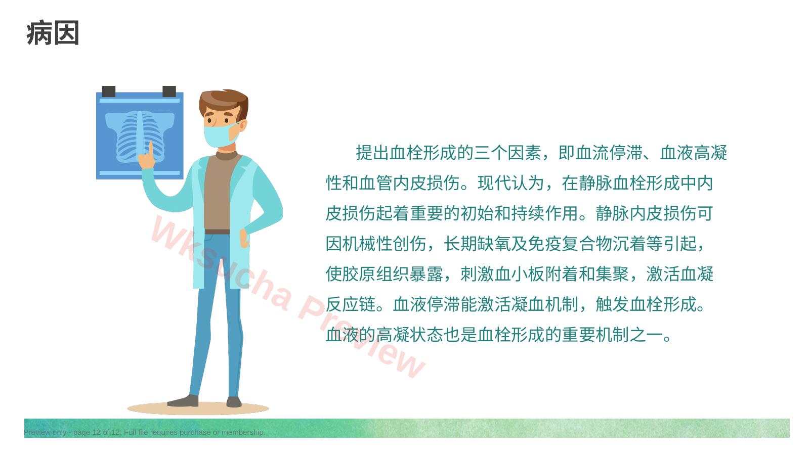 预览第 12 页