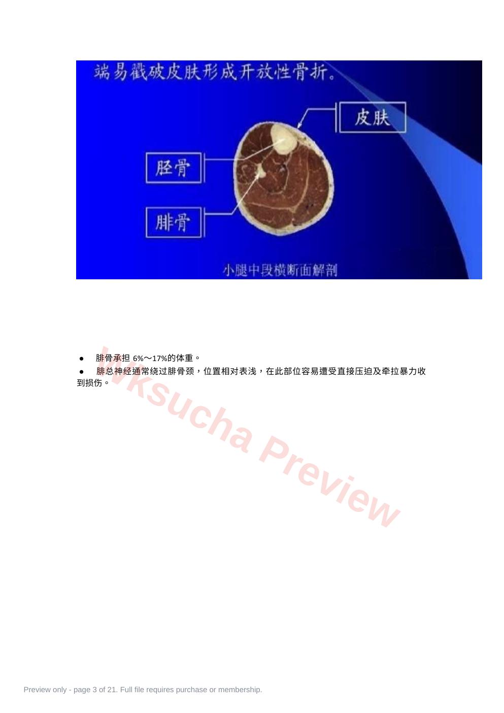 预览第 3 页