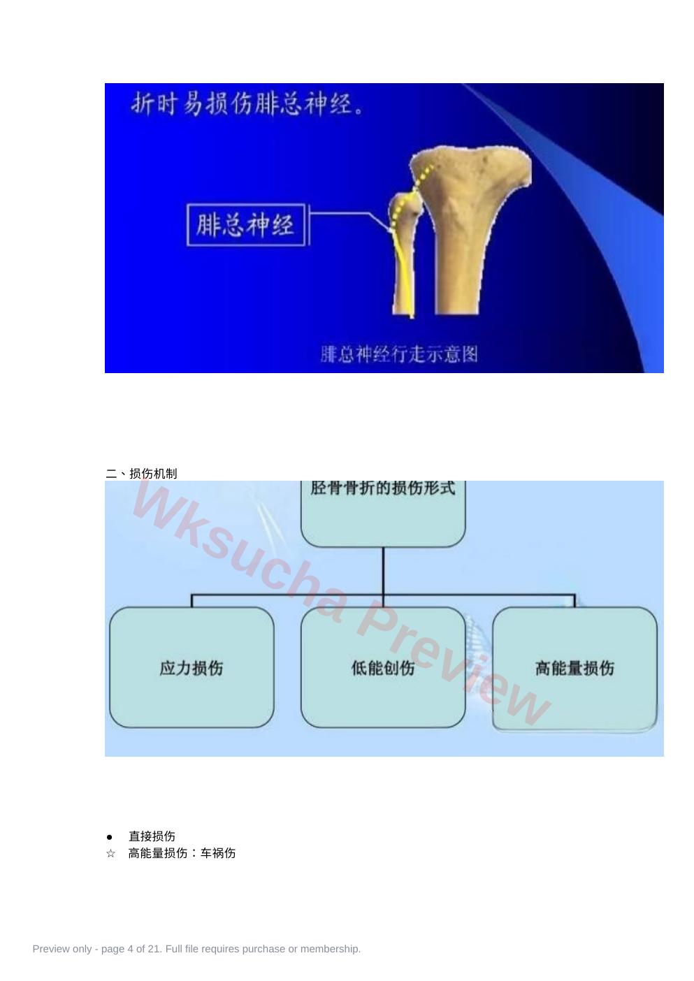 预览第 4 页