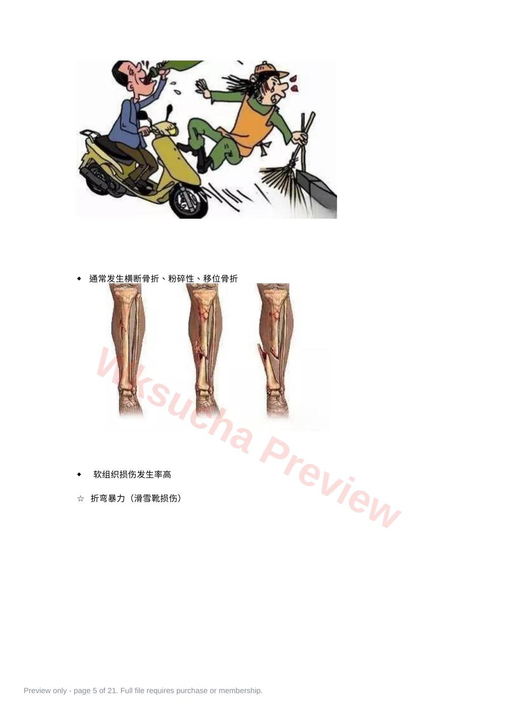 预览第 5 页