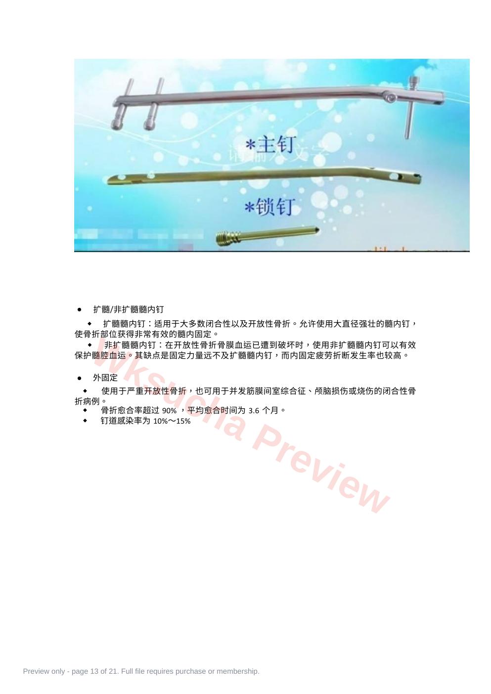 预览第 13 页