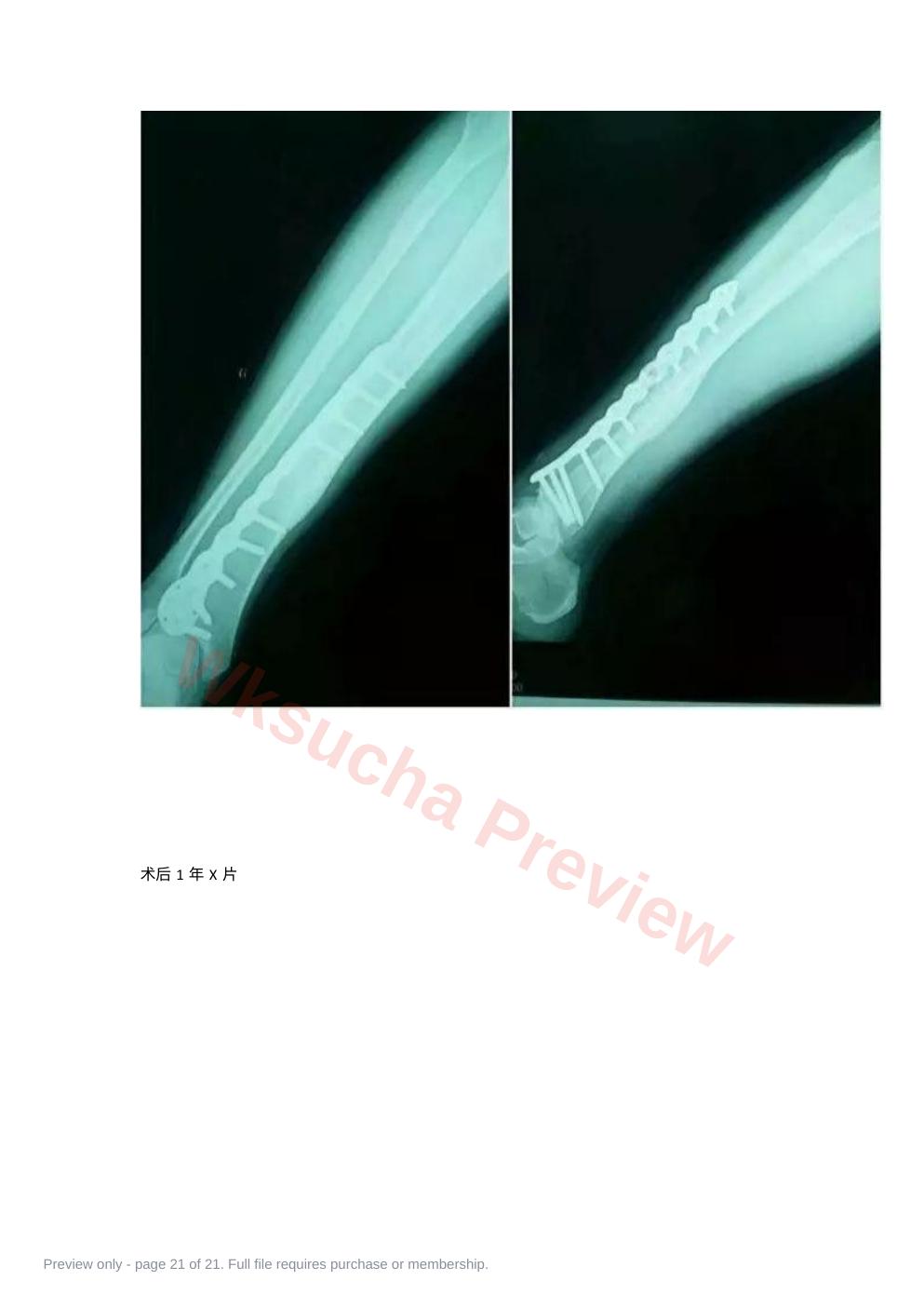 预览第 21 页