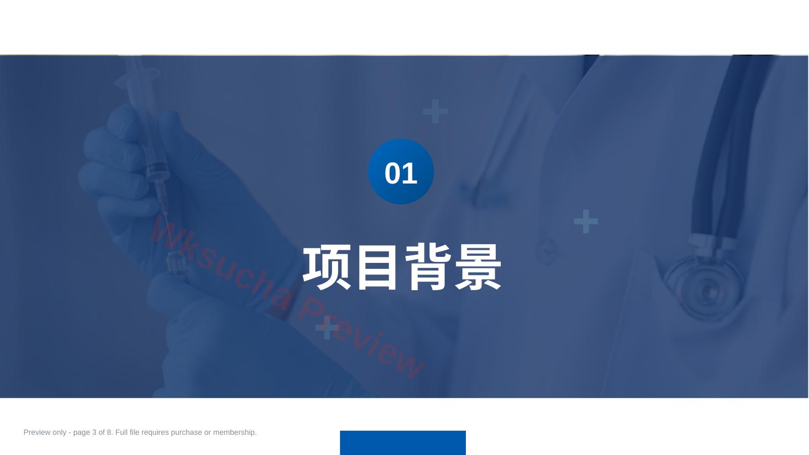 预览第 3 页