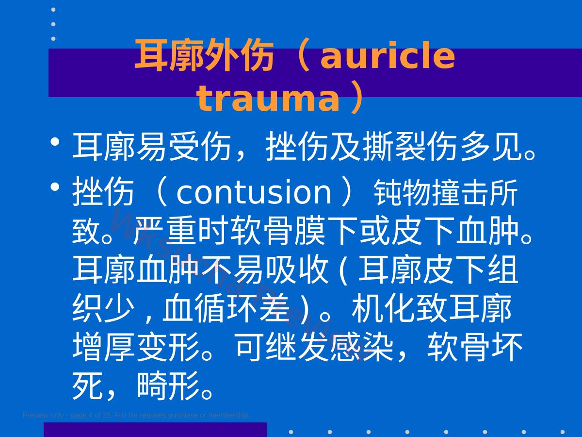 预览第 4 页