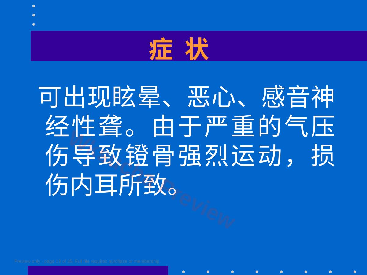 预览第 13 页