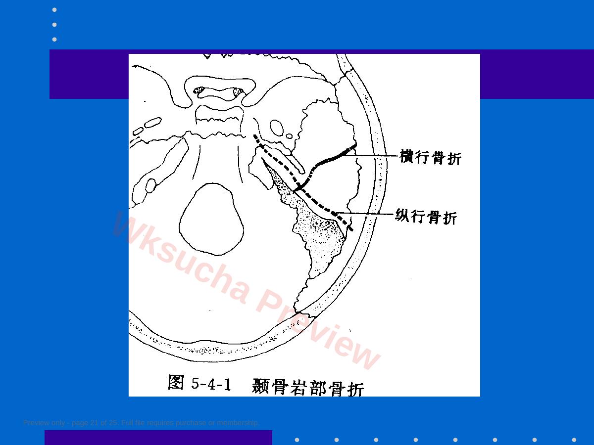 预览第 21 页