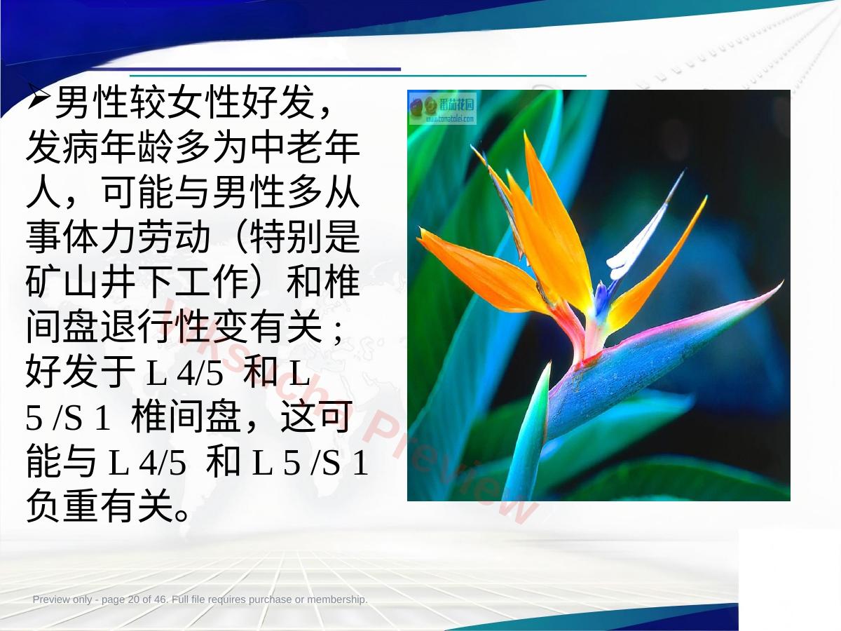 预览第 20 页