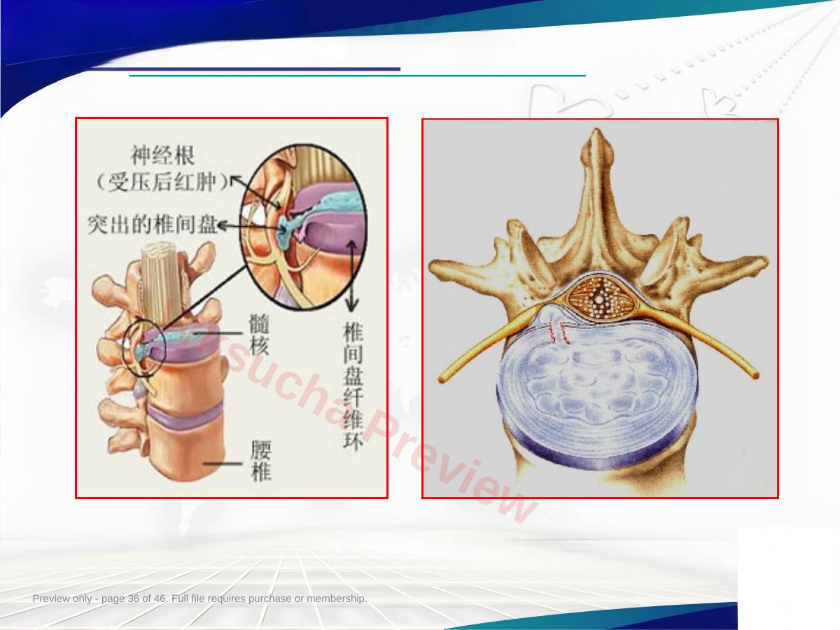 预览第 36 页