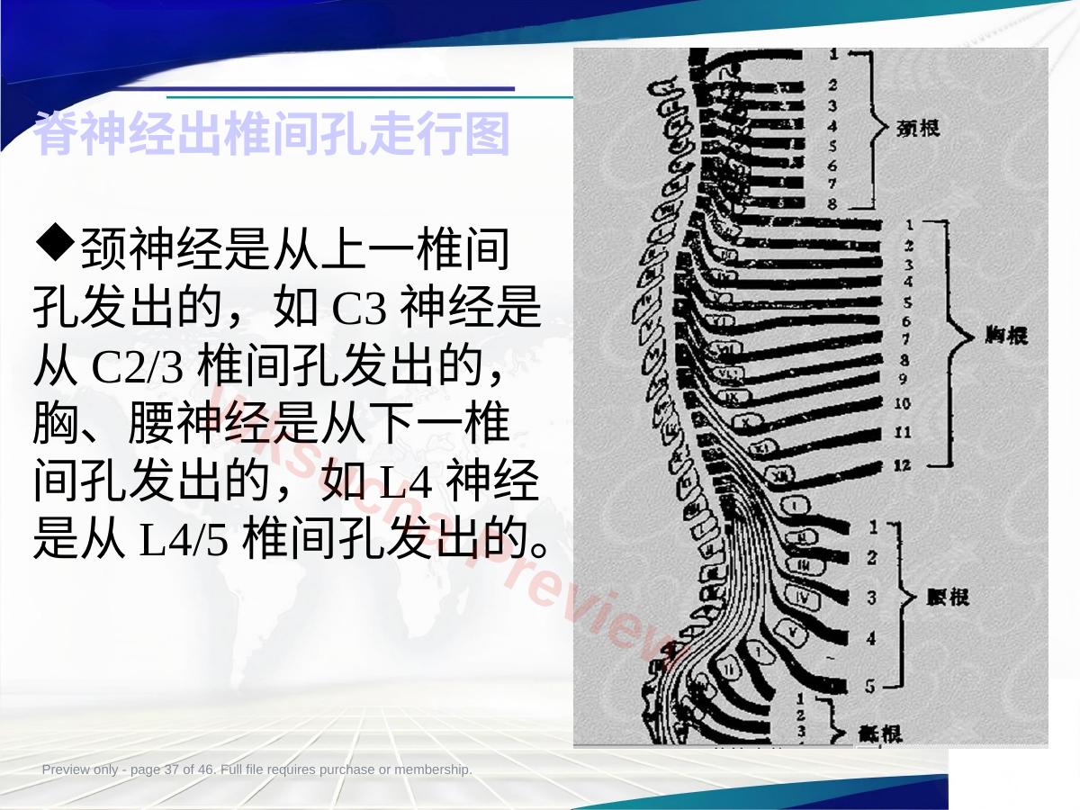 预览第 37 页