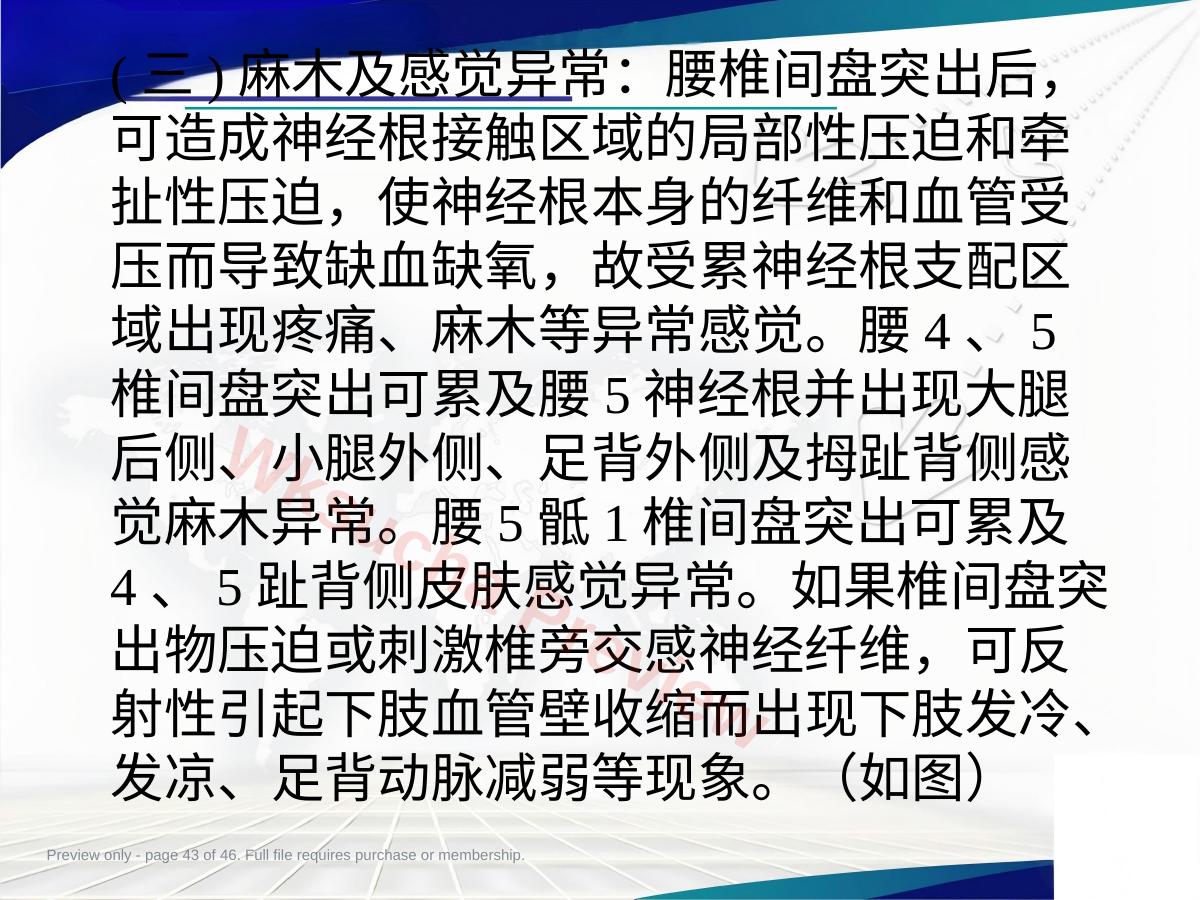 预览第 43 页