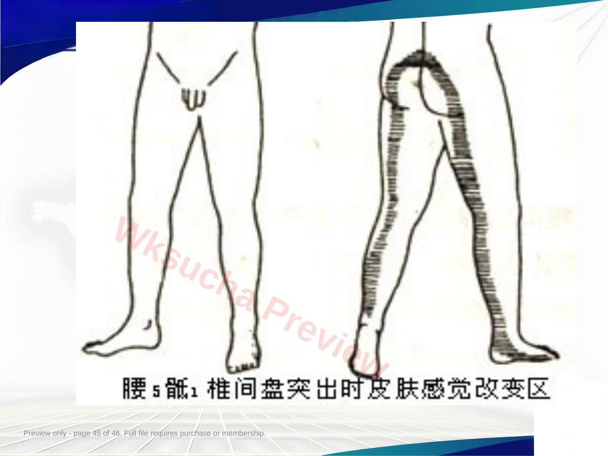 预览第 45 页