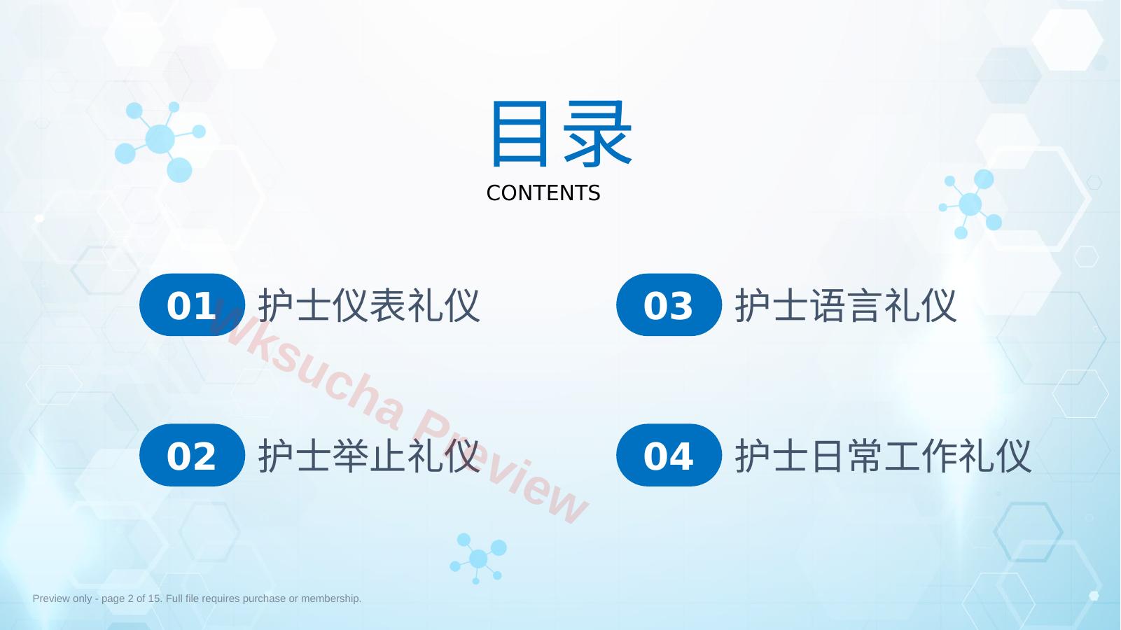 预览第 2 页
