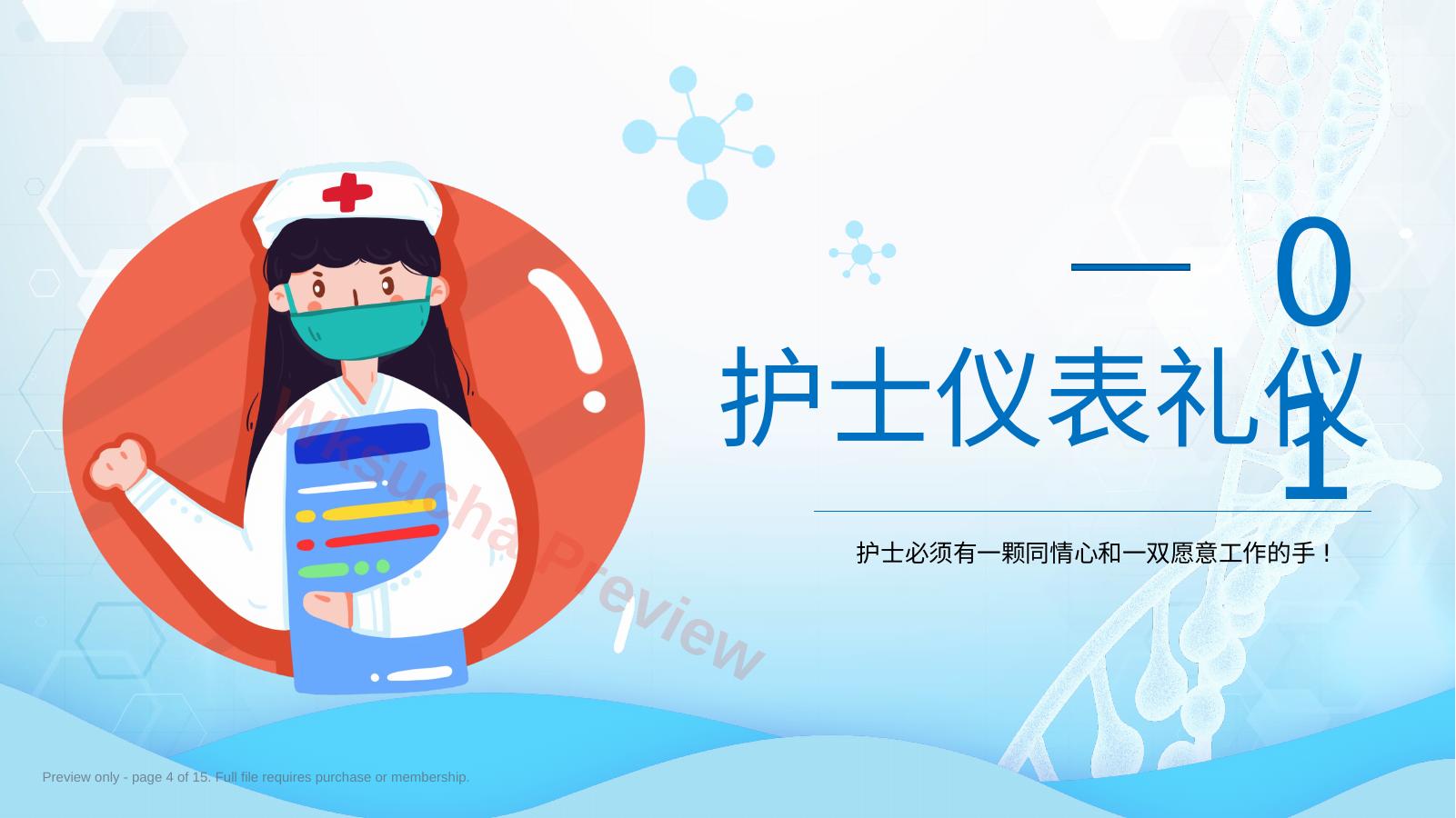预览第 4 页