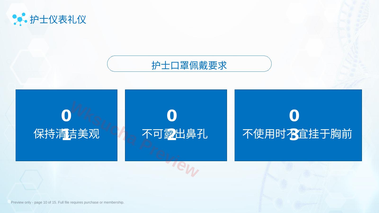 预览第 10 页