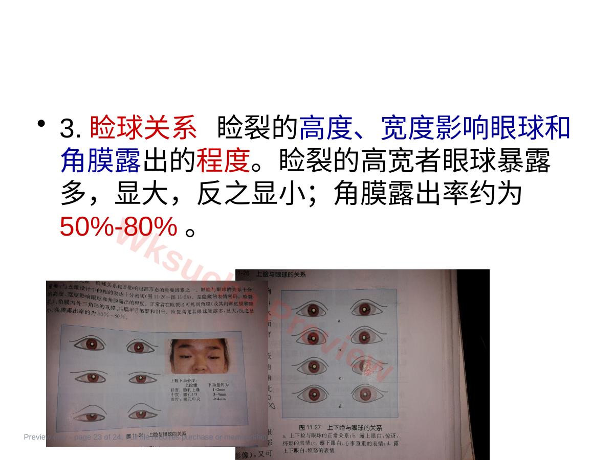 预览第 23 页