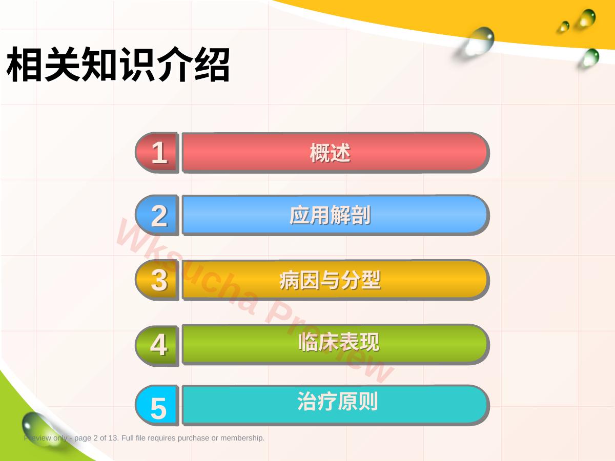 预览第 2 页