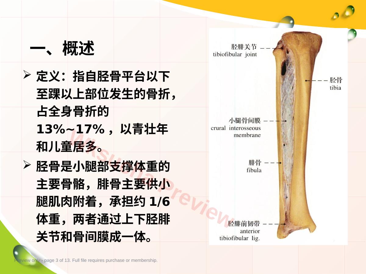 预览第 3 页