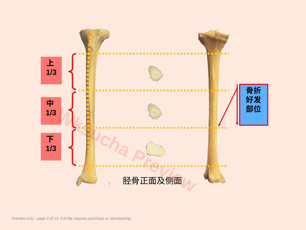 预览第 5 页