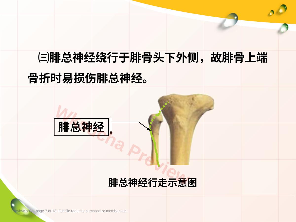 预览第 7 页