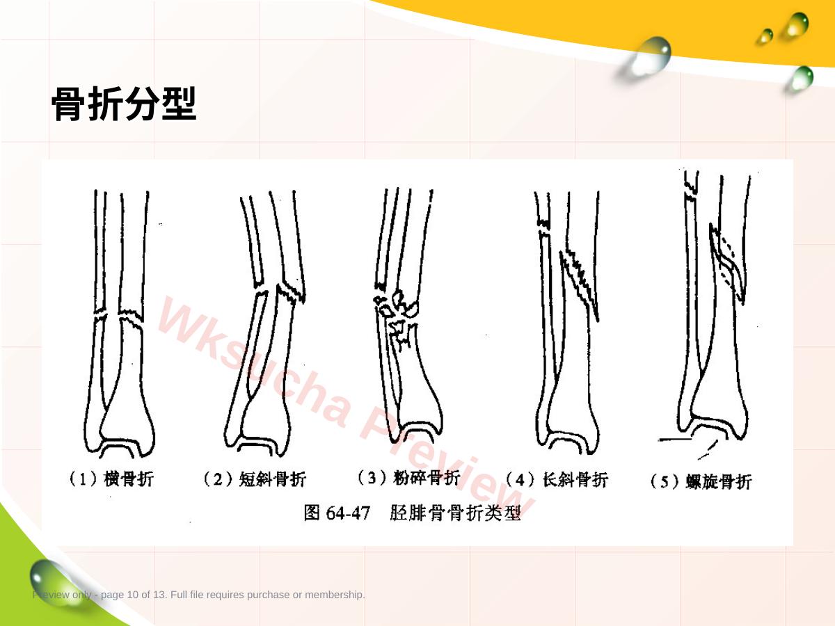 预览第 10 页