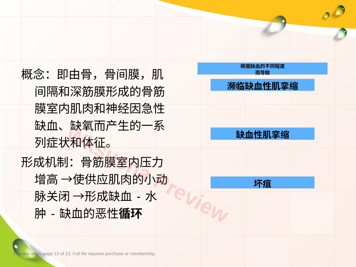 预览第 13 页