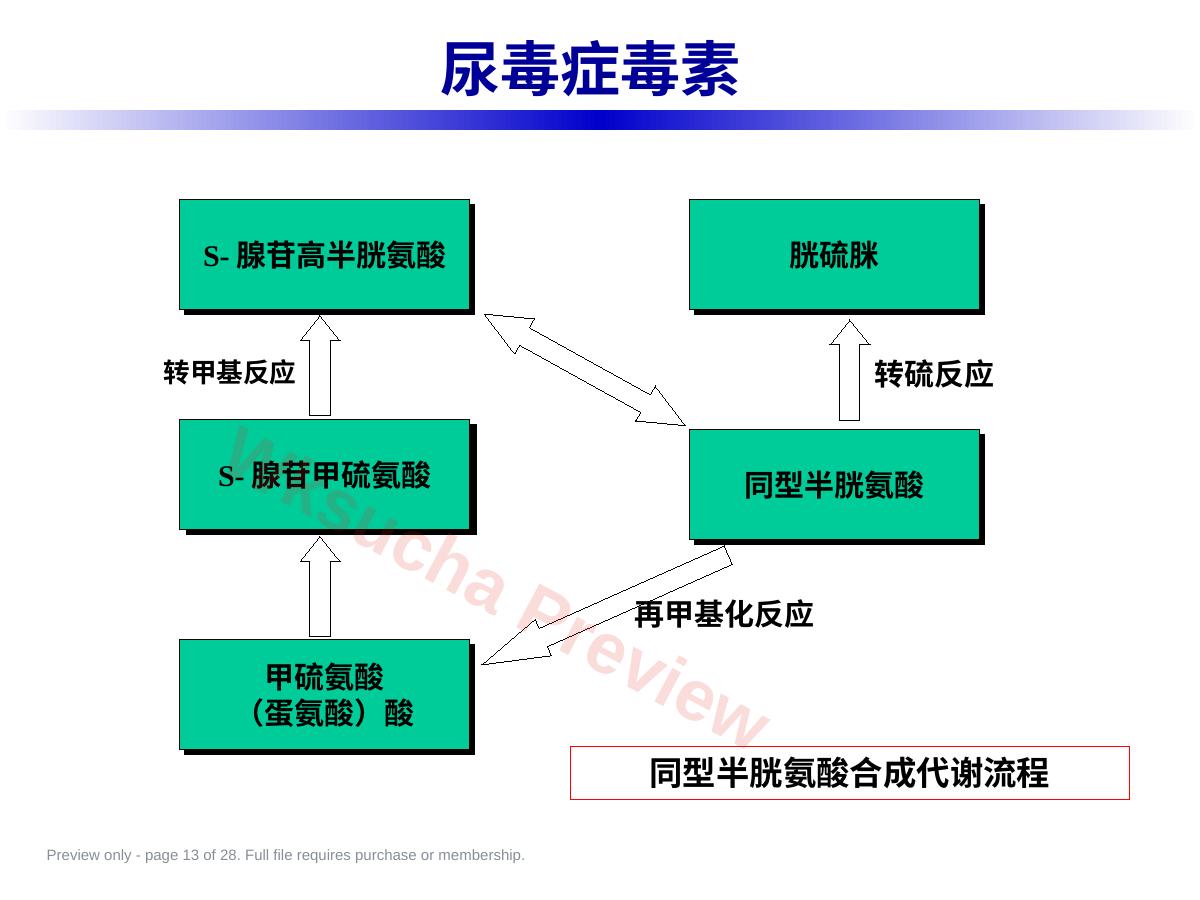预览第 13 页
