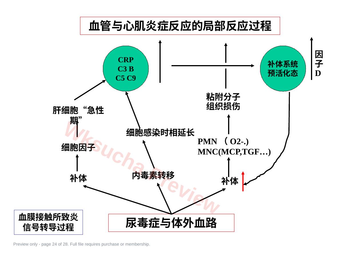 预览第 24 页